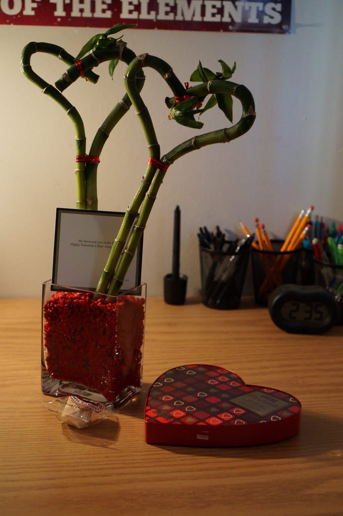 My gift of Heart shaped bamboo