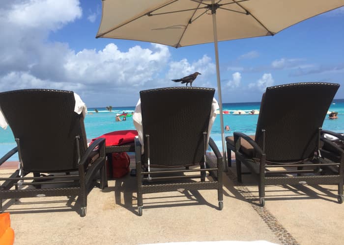 Beach loungers under an umbrella facing the turquoise water
