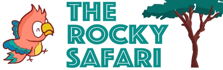 The Rocky Safari: New Look and Branding