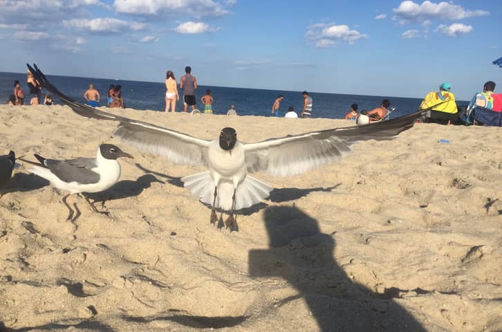 Kickin’ Back at the Jersey Shore