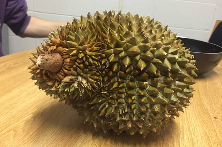 Never Make a Durian Smoothie… Or Anything Durian Flavored, For That Matter.