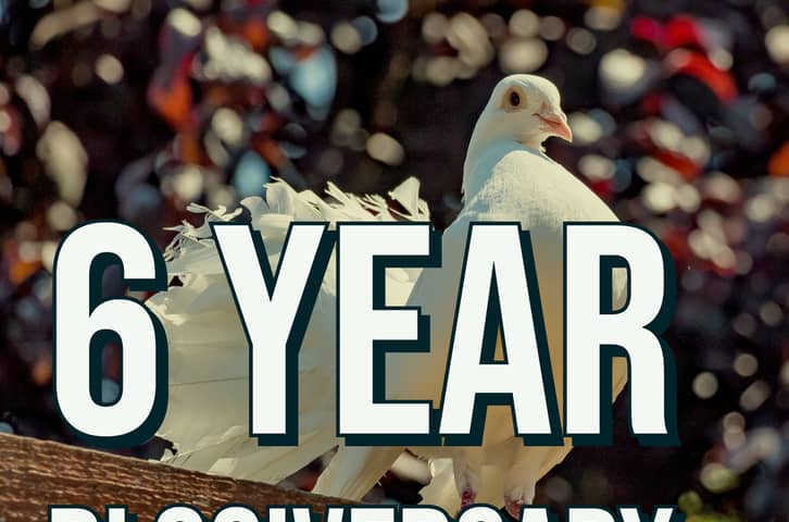 The Rocky Safari Celebrates Six Wonderful Years of Being Online Today