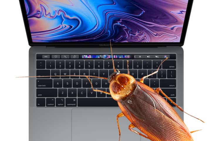 A Cockroach Crawled Across My Body in Athens