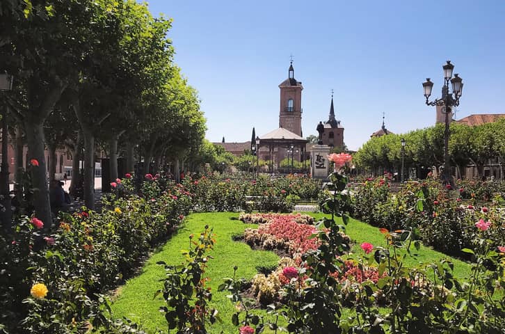 Taking a Day Trip from Madrid to Alcalá de Henares