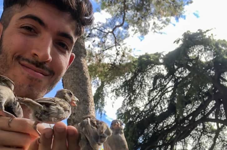 The House Sparrows I Hand Tamed and Bonded With In Madrid, Spain
