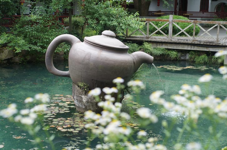 I’m Bringing Home Authentic Emperor’s Dragon Well Green Tea