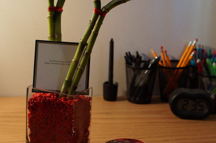 Shoot, What Happened to My Heart-Shaped Bamboo?