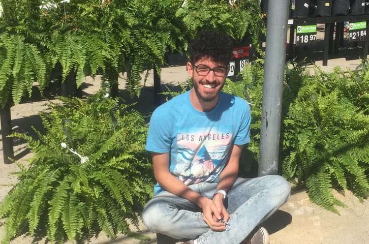 The Fern: A Perfect Example of Alternation of Generations