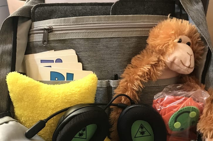 Teaching With VIPKID On My Road Trip to Kalahari