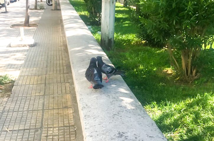 When You’re Truly Alone… You Appreciate Nature For the First Time