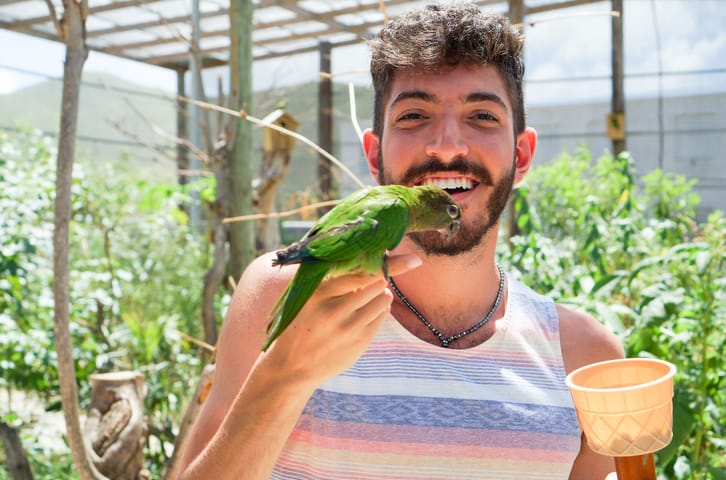 Feeding Birds at Saint Martin’s Parrotte-Ville Bird Park