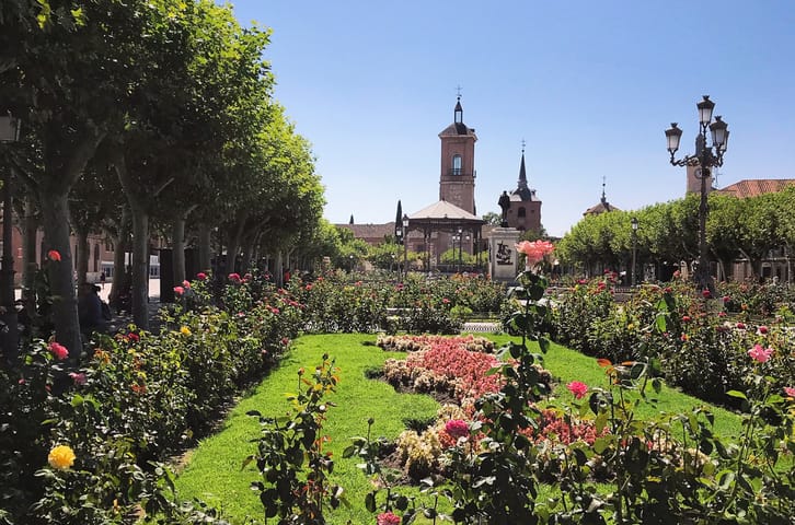 Taking a Day Trip from Madrid to Alcalá de Henares