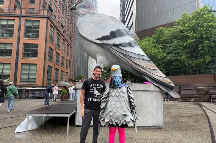 Pigeon Fest Recap: NYC’s First-Ever Pigeon Festival on the High Line 🕊️