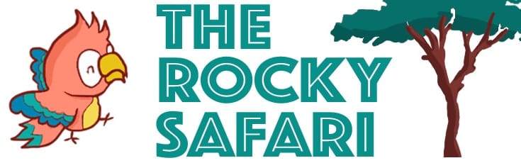 The Rocky Safari: New Look and Branding