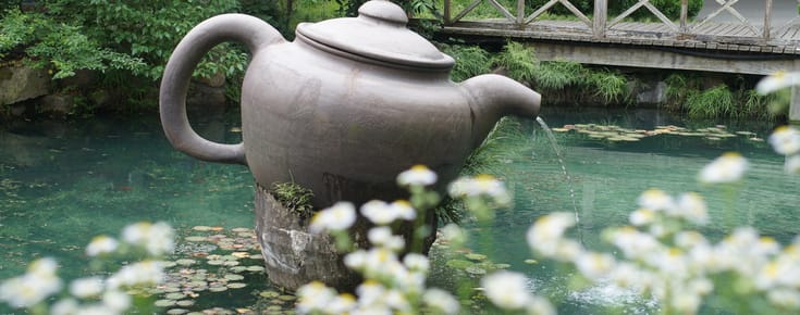 I’m Bringing Home Authentic Emperor’s Dragon Well Green Tea