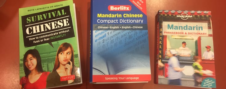 A Chinese Pocket Dictionary Just In Case!