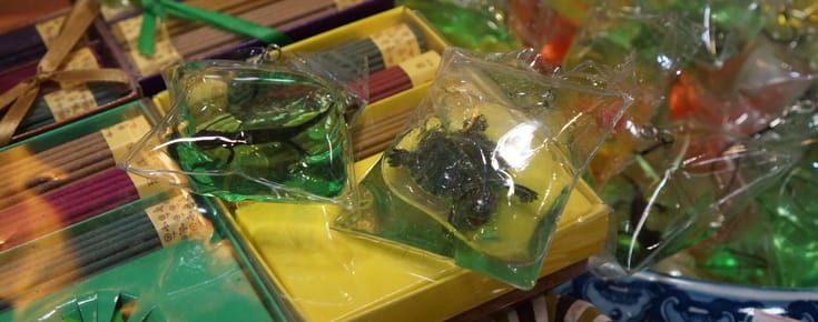 Small Animal Keychains in China Should Be Banned
