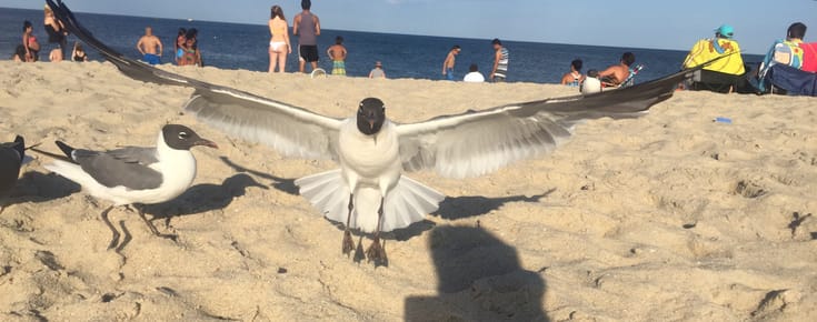 Kickin’ Back at the Jersey Shore