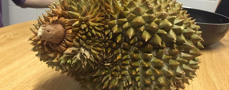Never Make a Durian Smoothie… Or Anything Durian Flavored, For That Matter.