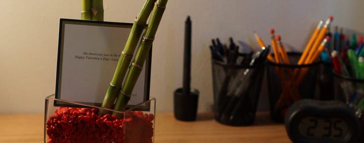 Shoot, What Happened to My Heart-Shaped Bamboo?
