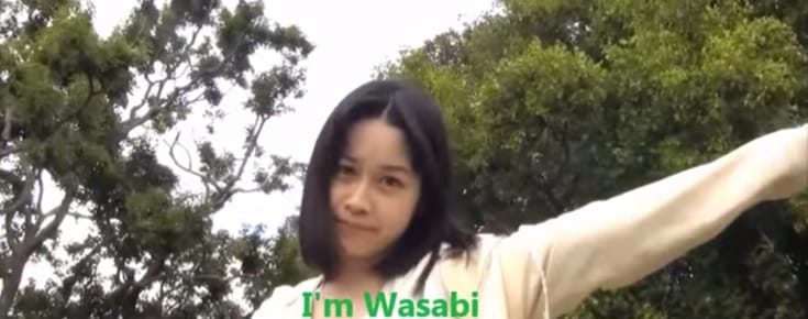 Wasabi Woman Is My Favorite Super Hero