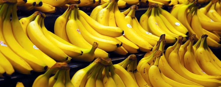 Are Bananas Going Extinct? Everything You Need to Know.