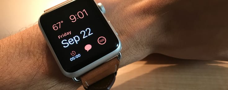 New Apple Watch Bands to Celebrate Turning 22!