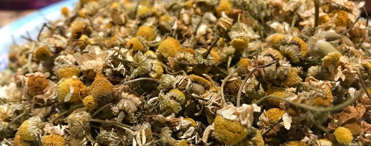 Chamomile Tea Can Help Calm Your Anxiety