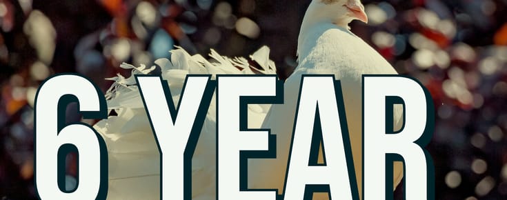The Rocky Safari Celebrates Six Wonderful Years of Being Online Today