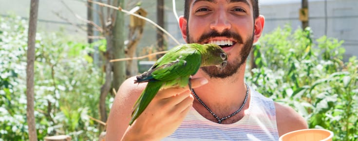Feeding Birds at Saint Martin’s Parrotte-Ville Bird Park