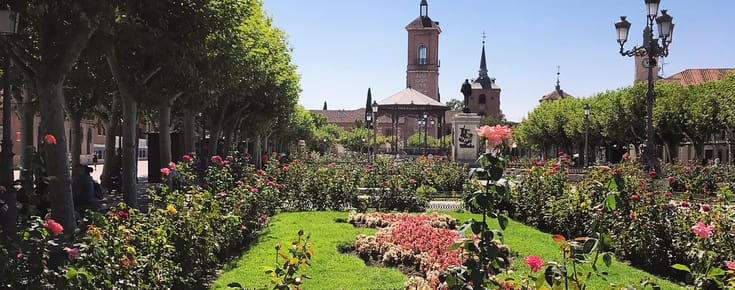 Taking a Day Trip from Madrid to Alcalá de Henares
