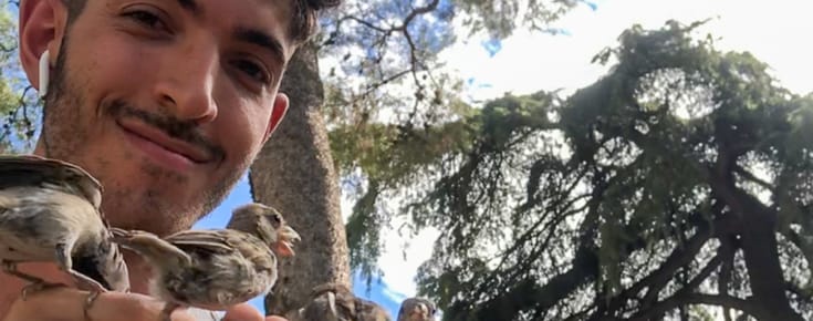 The House Sparrows I Hand Tamed and Bonded With In Madrid, Spain