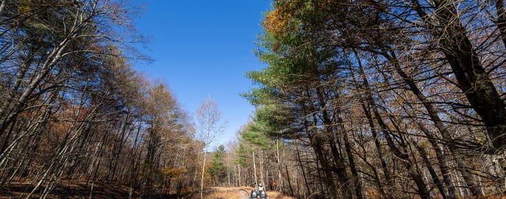 Pennsylvania Rail Bike Review: A Peaceful Autumn Ride Through the Poconos 🛤️🍂