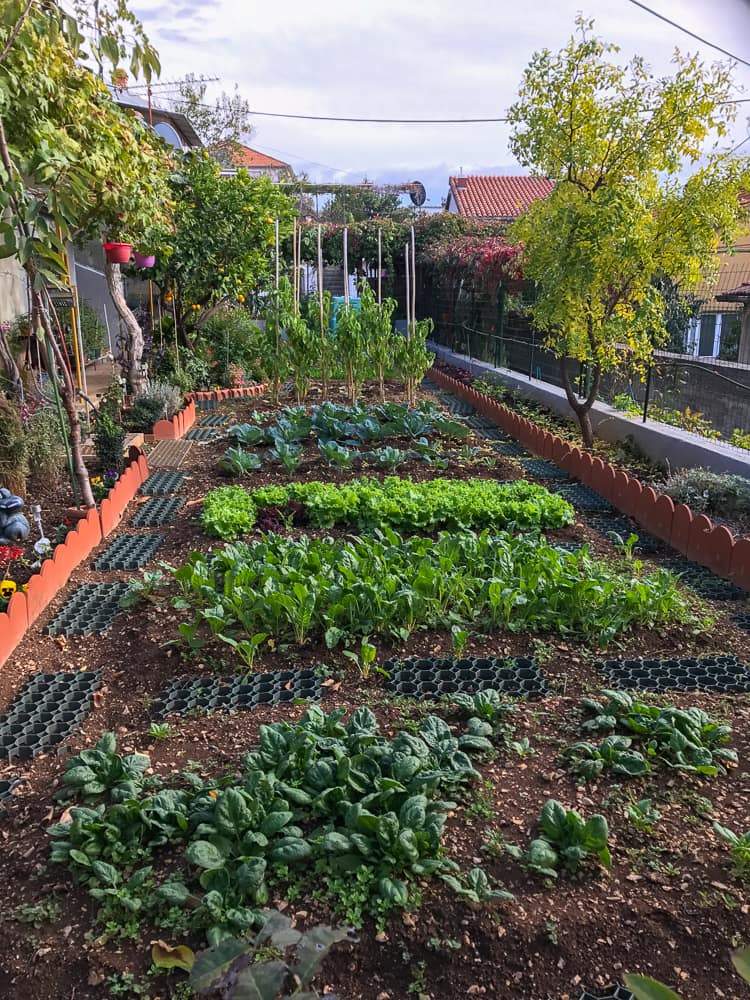 A walled medieval garden with planted beds in Šibenik