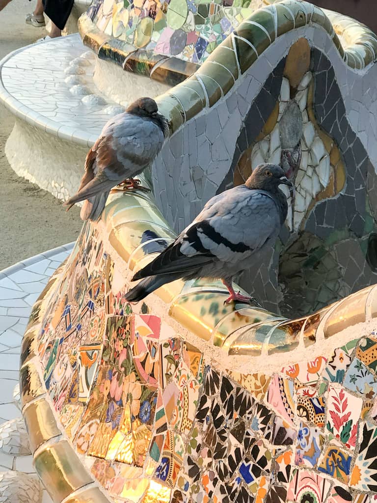 The mosaic