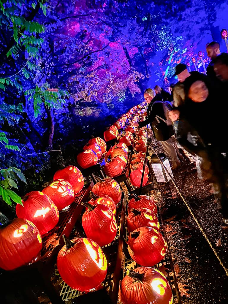 Jack O'Lanterns