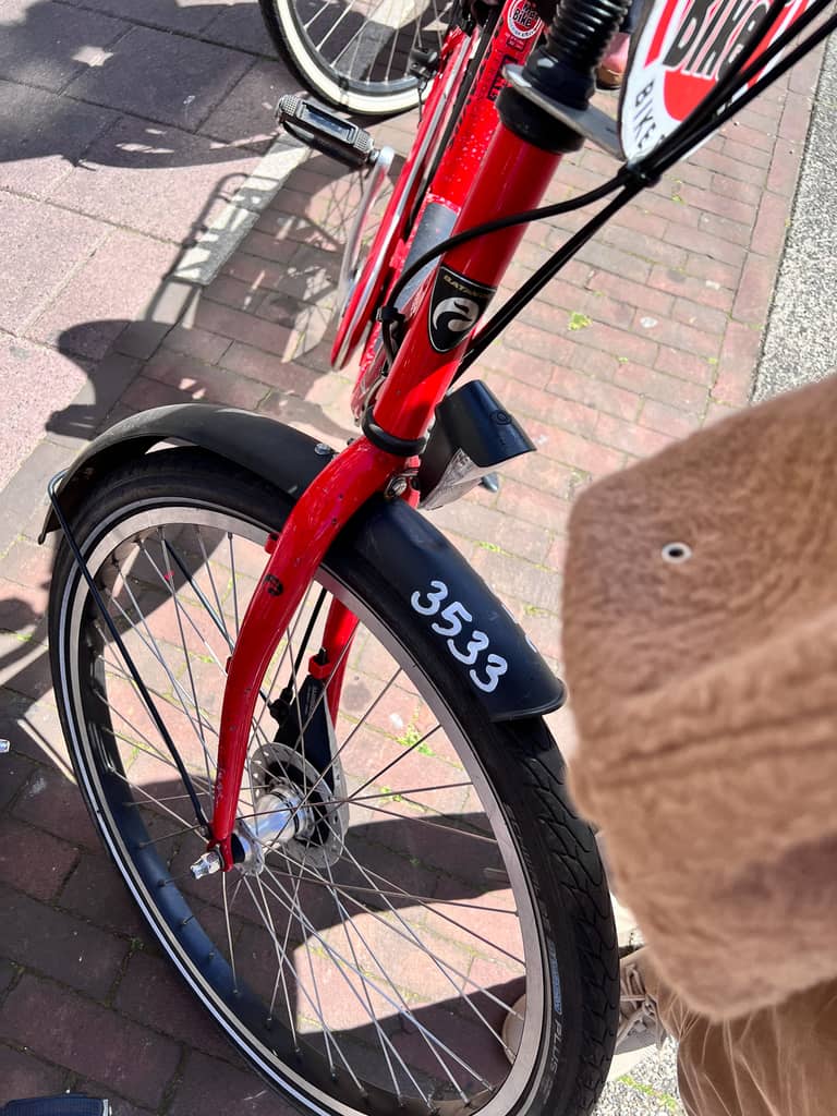 Rocky’s bike rental