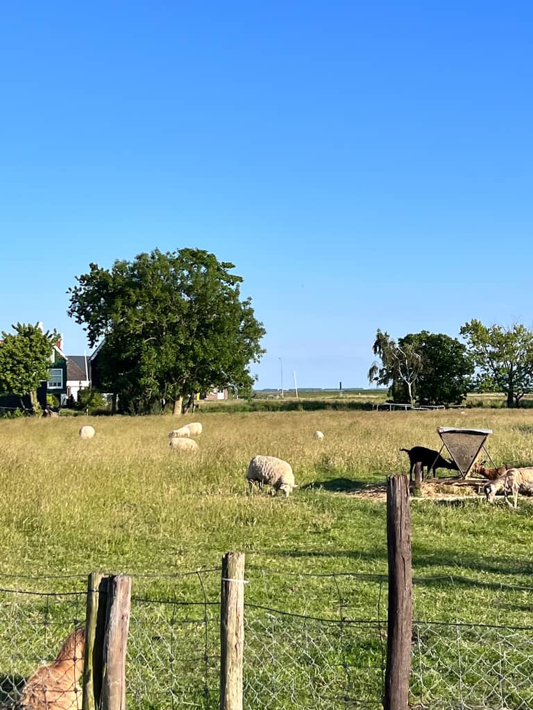 Leaving Marken