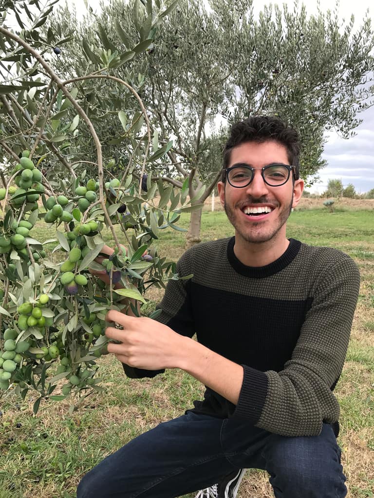 Rocky up in an olive tree holding a branch, smiling