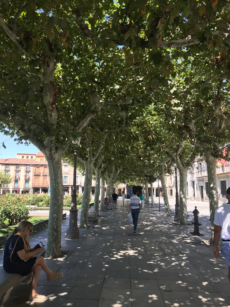 Walking around Alcalá de Henares