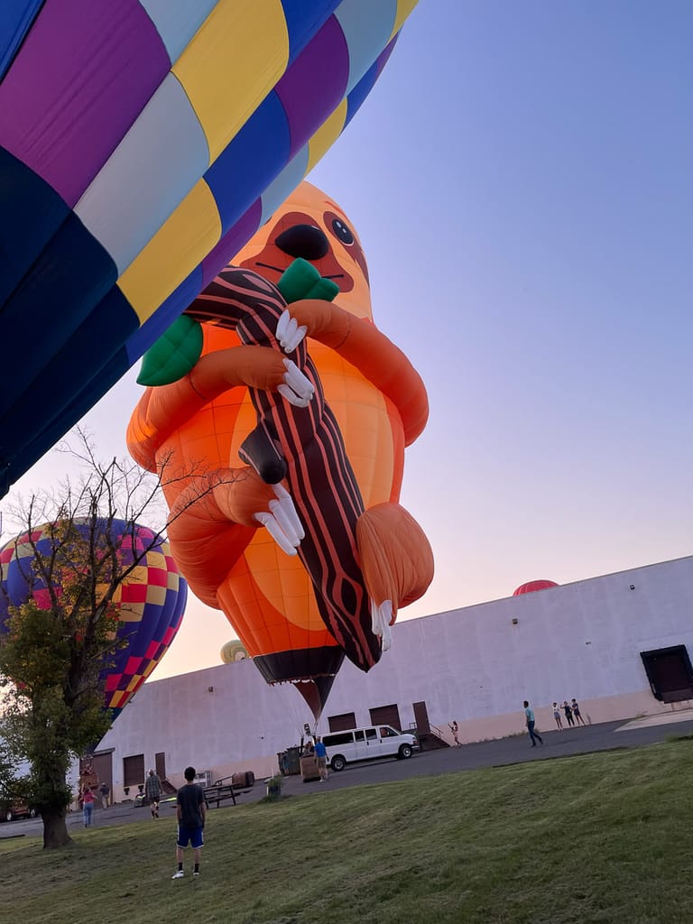 Hot-air balloon landing