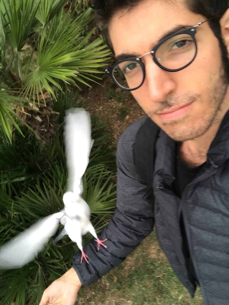 Holding a pigeon