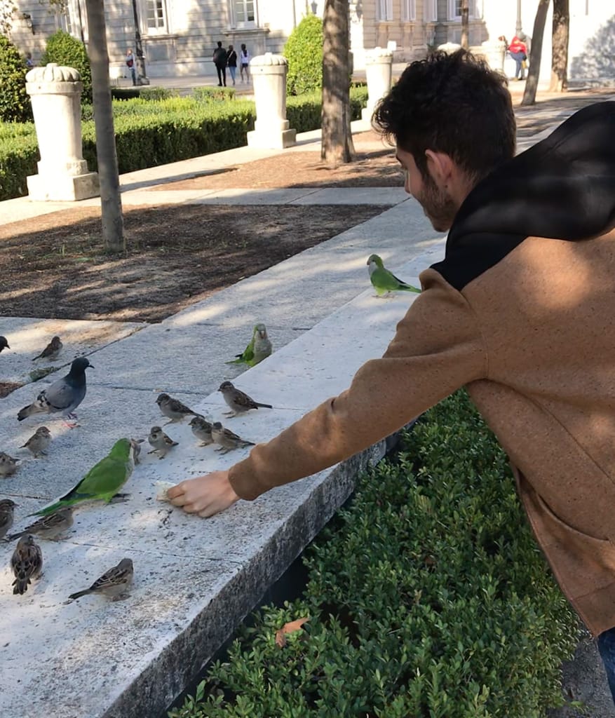 Rocky feeding sparrows and quaker parrots near the Royal Palace