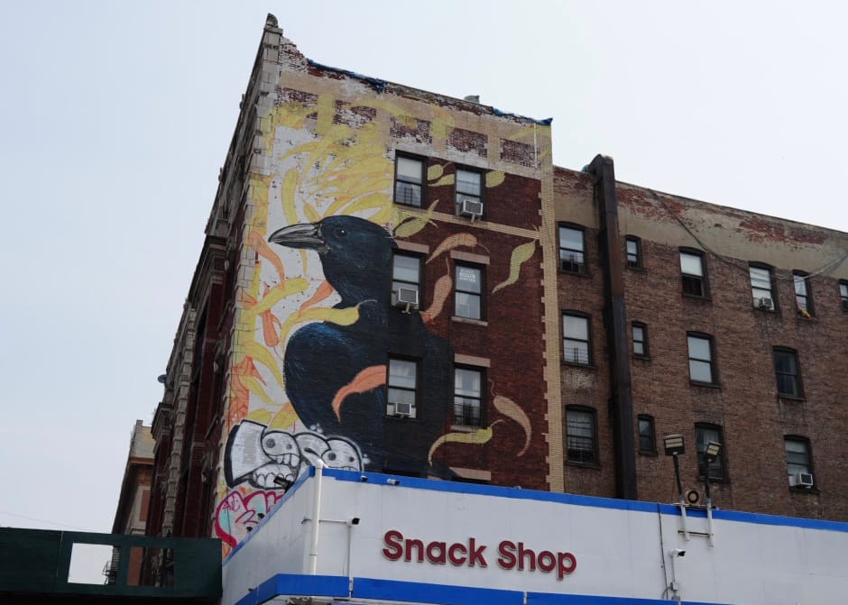 Audubon Mural Project in NYC