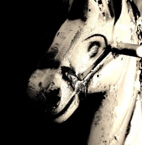 Meet The Haunted Rocking Horse From My Backyard