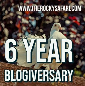The Rocky Safari Celebrates Six Wonderful Years of Being Online Today