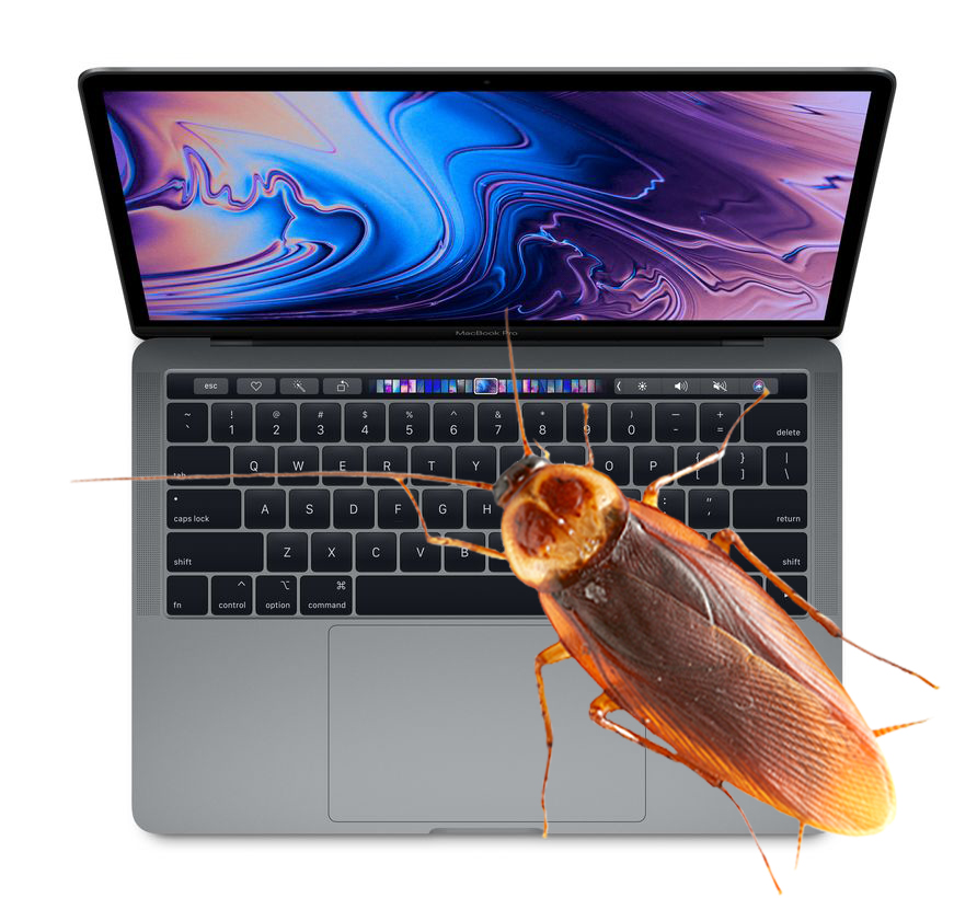 The cockroach on my laptop