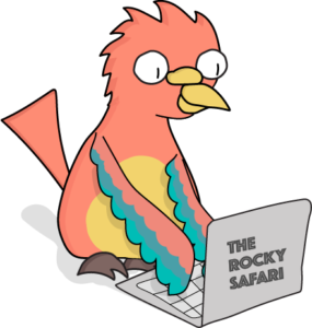 The Rocky Safari blogging bird