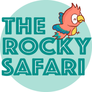 safari trip blog