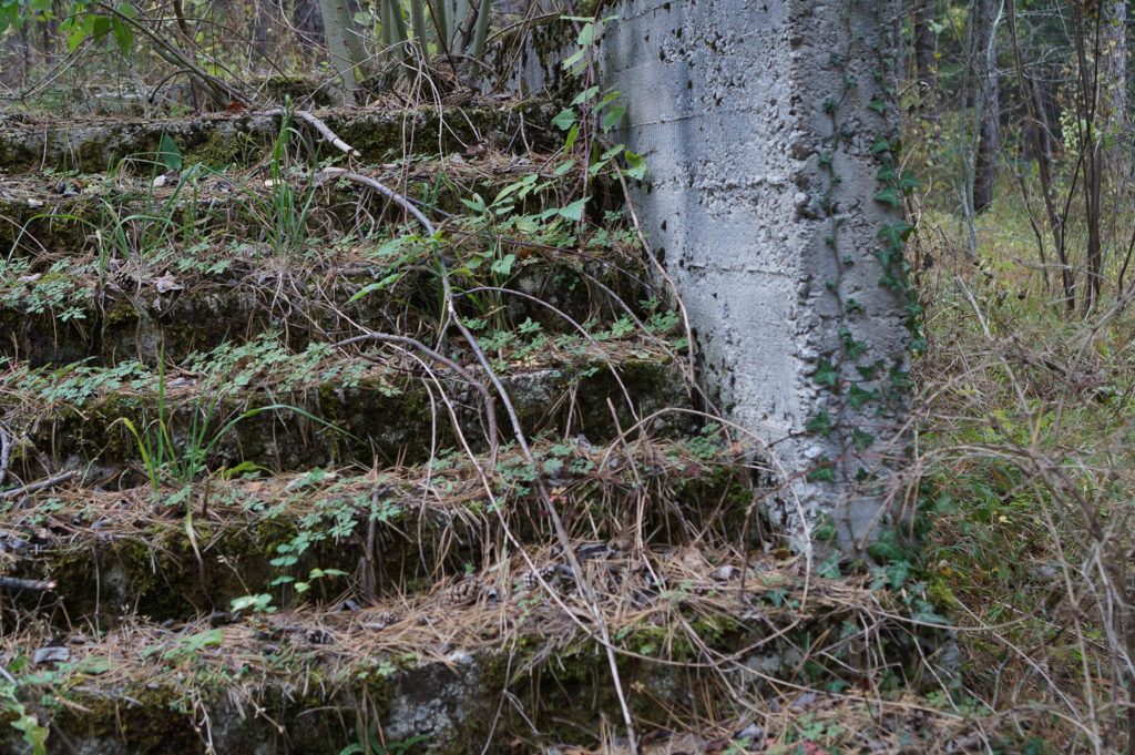 Moss covers the steps while hiking through the mountains in Bosnia